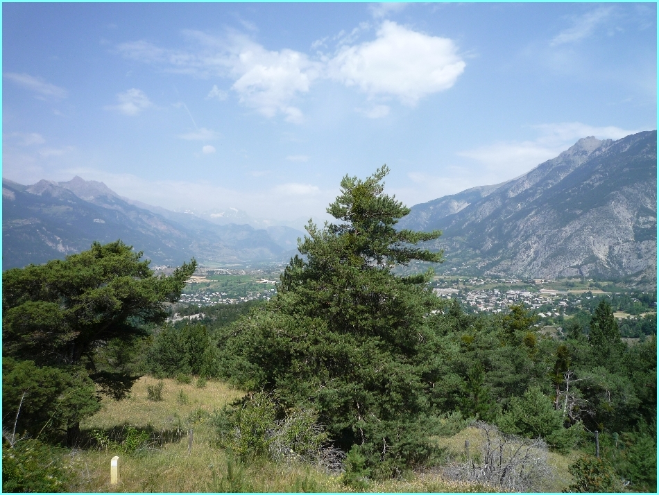 Anstieg Col de Vars.jpg
